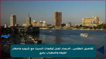 تفاصيل الطقس.. الأرصاد تعلن توقعات السبت مع شبورة وأمطار خفيفة واضطراب بحري